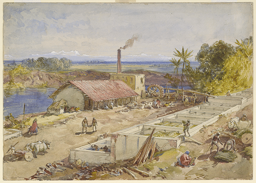 Bengal Indigo Factory (by Unknown Artist, Public Domain)