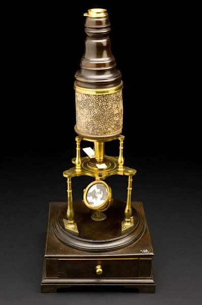 The Microscope & the Scientific Revolution - World History Encyclopedia