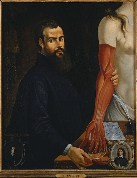 Andreas Vesalius by Poncet (by Pierre Poncet, Public Domain)