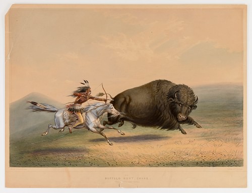 Buffalo Hunt, Chase No. 5.