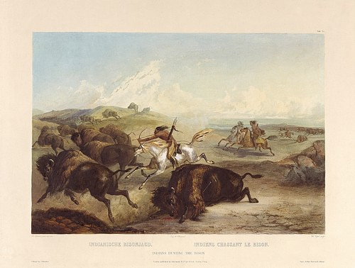 Indians Hunting the Bison