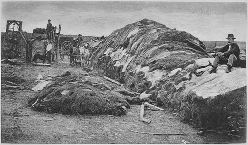 Rath & Wright's Buffalo Hide Yard in Dodge City