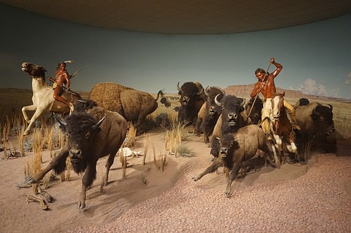 The Crow Indian Buffalo Hunt Diorama