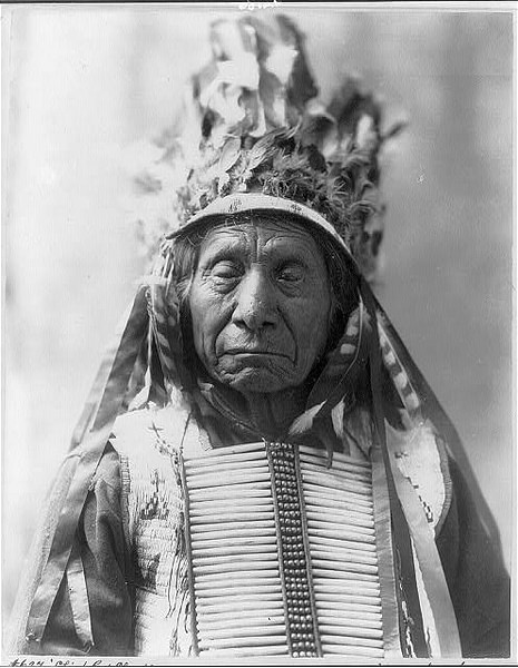 Chief Red Cloud (by Library of Congress, Public Domain)