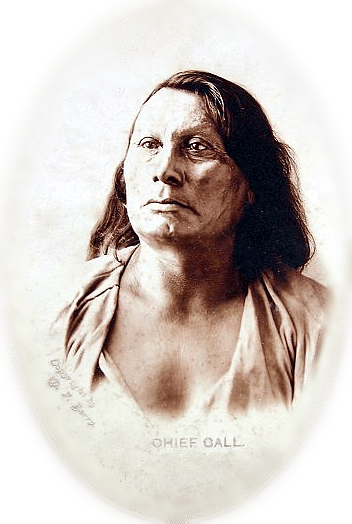 War Chief Gall of the Hunkpapa Lakota Sioux (by D.F. Barry, Public Domain)