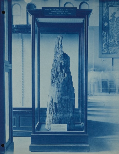 Bullet-Shattered Stump From the Battle of Spotsylvania