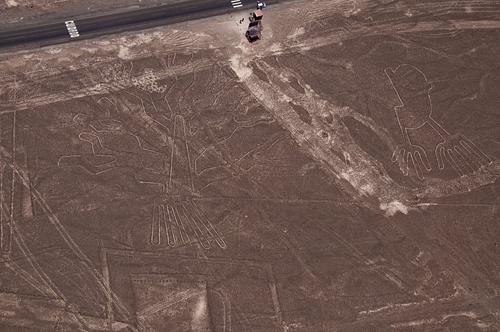 Nazca Line Cactus