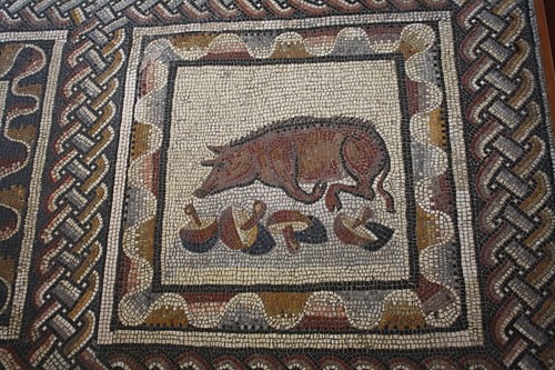 Javali, Mosaico Romano