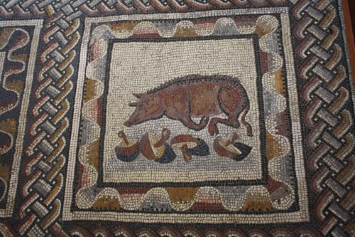 Wild Boars Rome Food in the Roman World - World History Encyclopedia