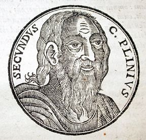 Pliny the Elder (by Littlehelper, Public Domain)