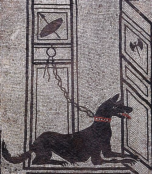 Dog Mosaic