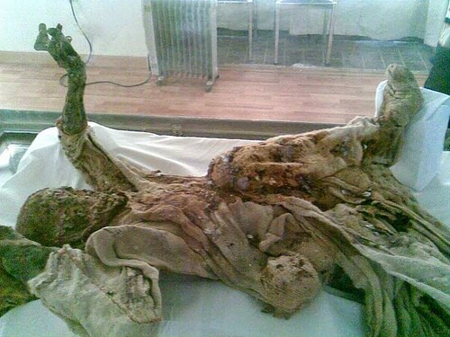 Saltman Mummy No. 4