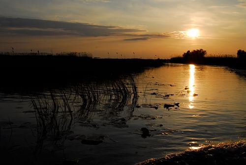 Danube River (by JC Kole, CC BY-NC-ND)