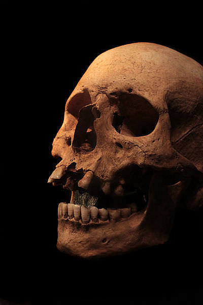 Roman Skull with Obol in Mouth (by Falconaumanni, CC BY-SA)