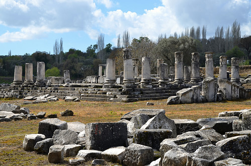 The Temple of Hecate in Lagina, Caria