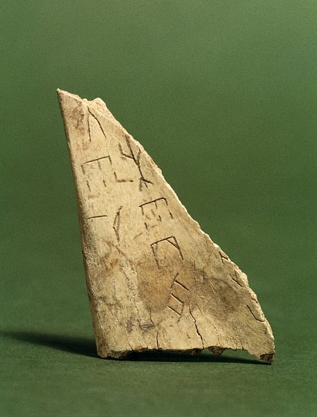 Oracle bone (by The Trustees of the British Museum, Copyright)