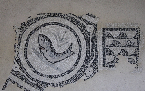 Roman Fish Mosaic, Como