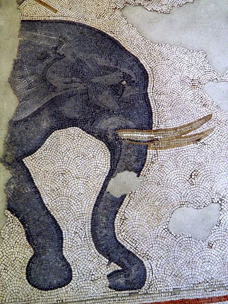 Detail of a 6th Century CE Elephant Mosaic