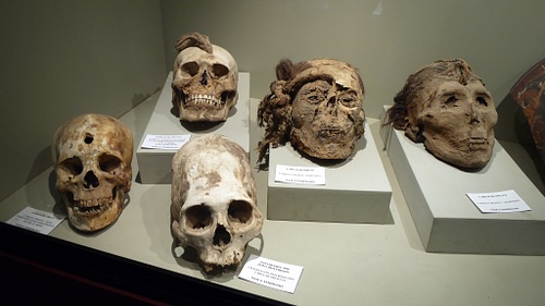 Mummy Skulls, Cahuachi