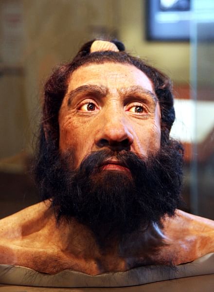 Neanderthal Man (by Tim Evanson, CC BY-SA)