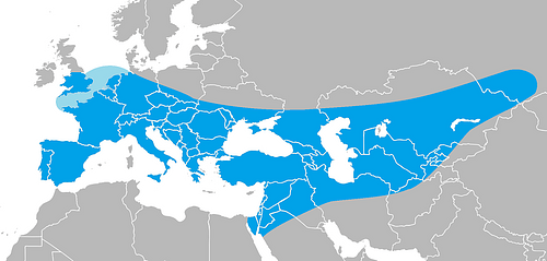 Geographical Range of Neanderthals