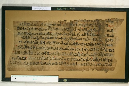 Papyrus Lansing