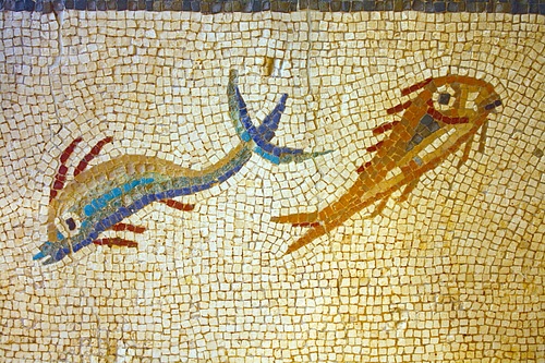 Roman Fish Mosaic, Tarraco