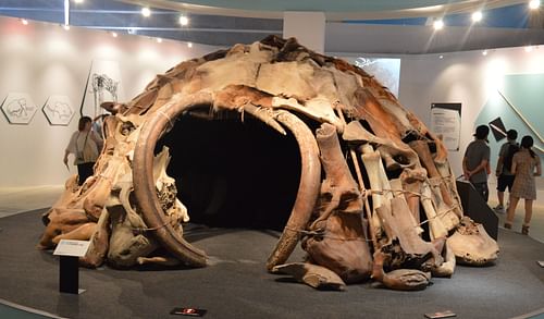 Replica of a Mammoth-bone Structure