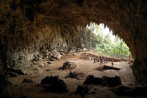 Liang Bua Cave