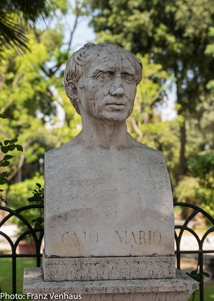 Gaius Marius (by Franz Venhaus, CC BY-ND)