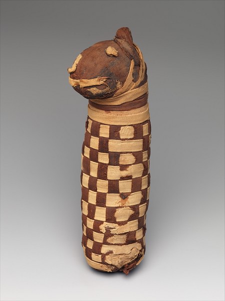 Egyptian Dog Mummy