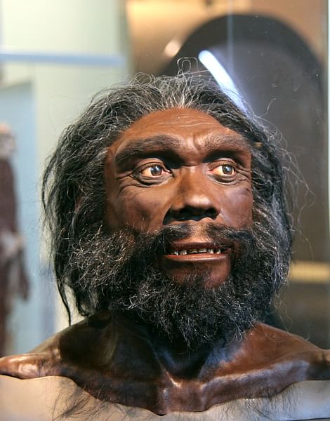 Homo Heidelbergensis Reconstruction (by Tim Evanson, CC BY-SA)
