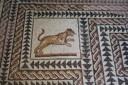 Panther, Roman Mosaic