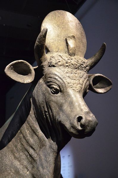 Apis Bull (by Carole Raddato, CC BY-SA)