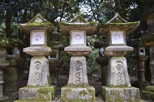 Stone Lanterns, Kasuga Shrine