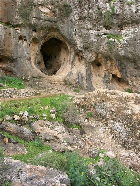 Skhul Cave, Israel