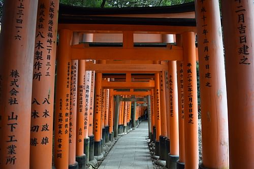 Torii, Fushimi Inari shrine (by James Blake Wiener, CC BY-NC-SA)