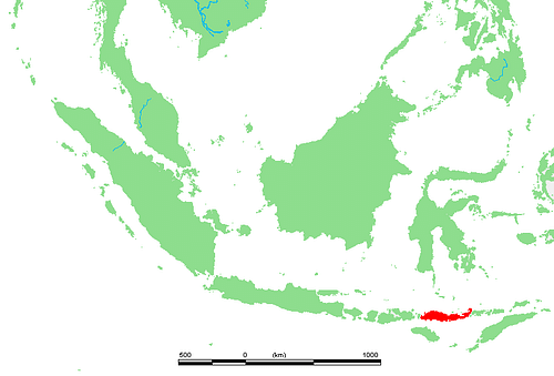 Location of the Island of Flores, Indonesia