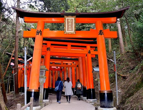 Torii, Fujiwara Inari Shrine (by James Blake Wiener, CC BY-NC-SA)