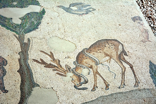 Stag & Snake, Byzantine Mosaic