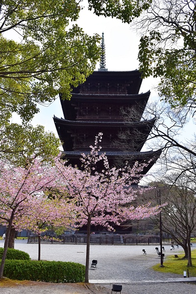 Kyoto's Five-Story Pagoda at Toji Temple
