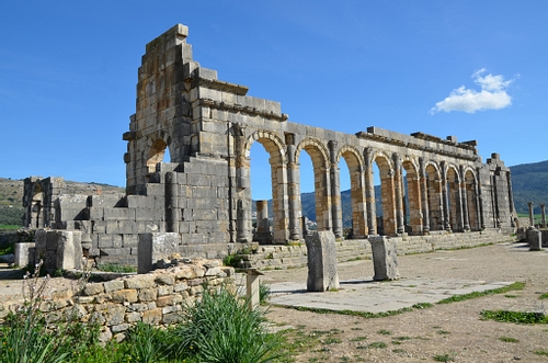 The Civil Basilica of Volubilis