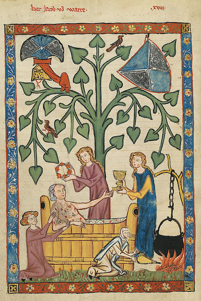 Medieval Noble Taking His Bath