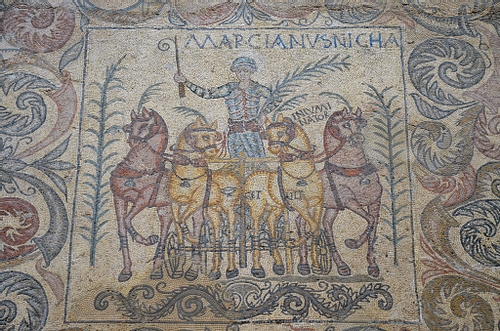 Victorious Roman Charioteer