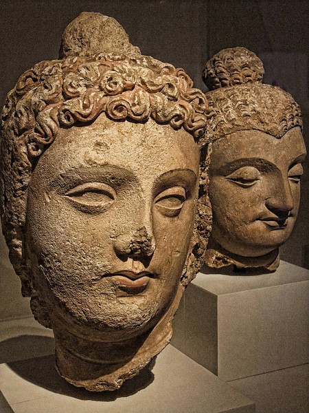 Bodhisattva Head, Gandhara (by Mary Harrsch (Photographed at The Art Institute of Chicago), CC BY-NC-SA)