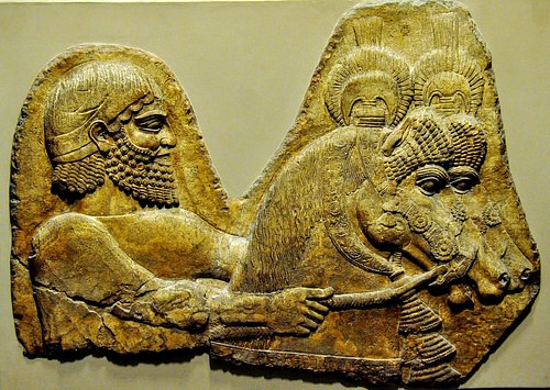 A Groom and Horses from Weste Assyria