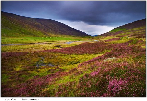 Scottish Highlands (by Moyan Brenn, CC BY-NC-SA)