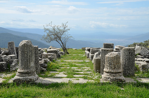 The Sanctuary of Zeus Labraundos