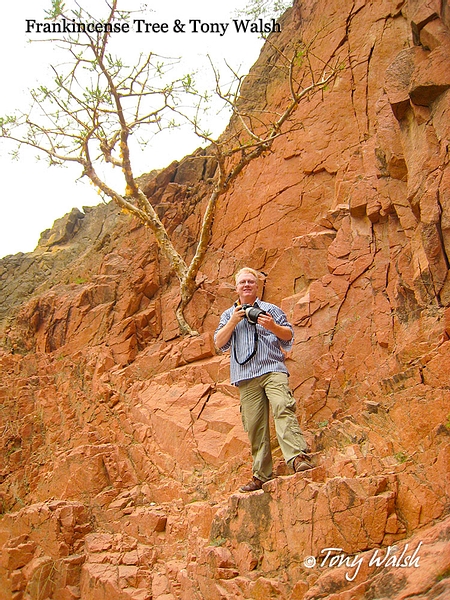 Author Tony Walsh