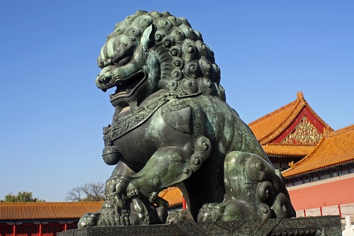 Chinese Lion-Dog